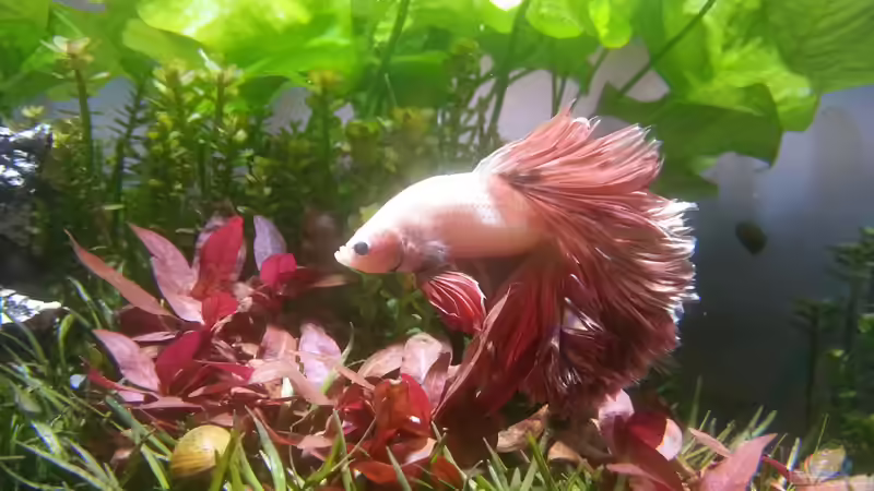 Aquarium Hauptansicht von Kölle Zoo Aquarium Hauptansicht von Kölle Zoo