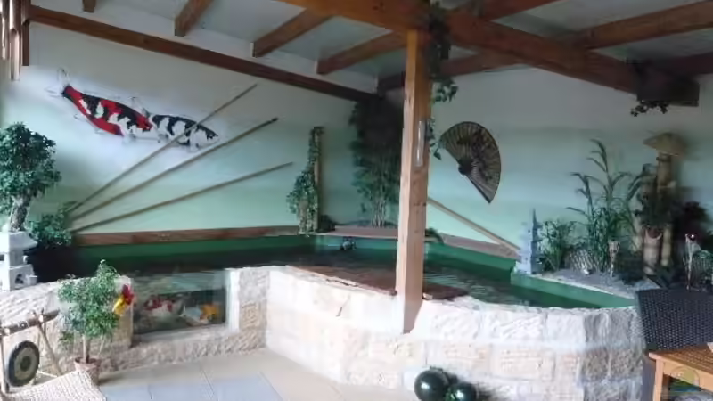 Aquarium Hauptansicht von KOIBECKEN Aquarium Hauptansicht von KOIBECKEN