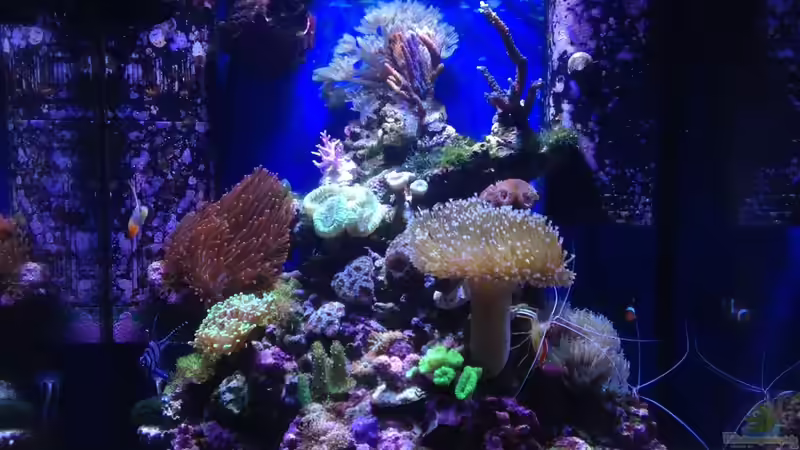 Aquarium Hauptansicht von Little Sea Aquarium Hauptansicht von Little Sea