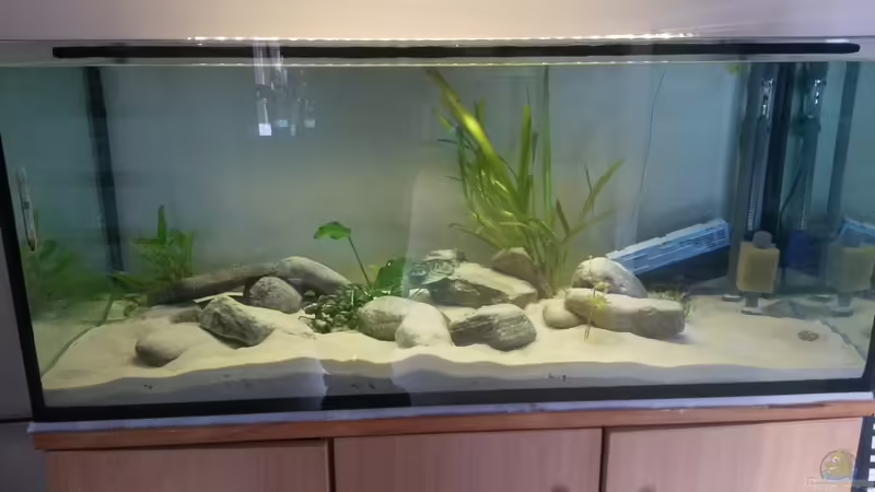 Aquarium Hauptansicht von Malavold Aquarium Hauptansicht von Malavold