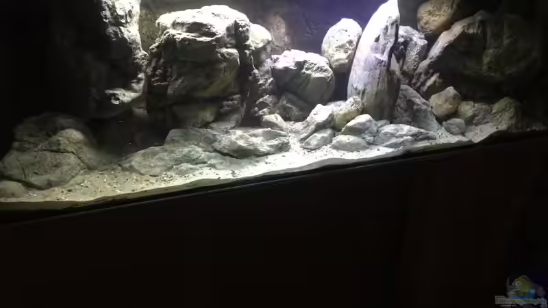 Aquarium Hauptansicht von Malawi Geröllzone Aquarium Hauptansicht von Malawi Geröllzone
