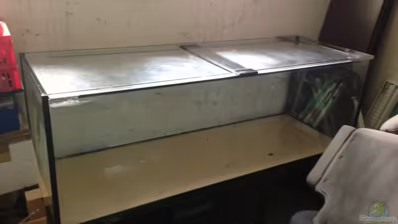 Aquarium Hauptansicht von Malawi Tank 2 Aquarium Hauptansicht von Malawi Tank 2