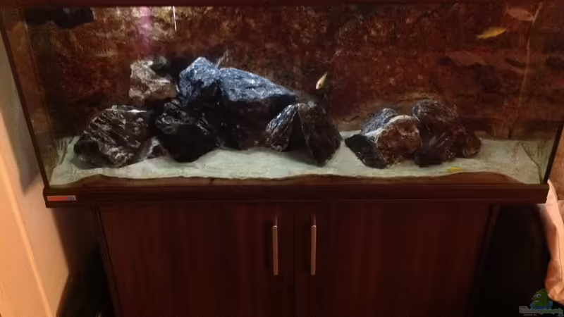 Aquarium Hauptansicht von Malawi Aquarium Hauptansicht von Malawi