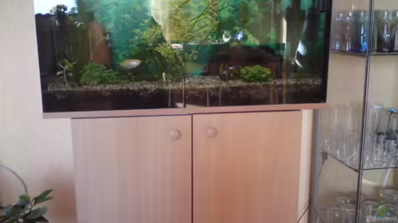 Aquarium Hauptansicht von Mein 112 Liter Becken Aquarium Hauptansicht von Mein 112 Liter Becken