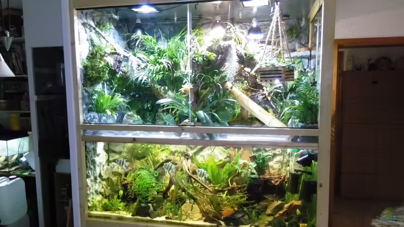 Aquarium Hauptansicht von mein erstes palludarium Aquarium Hauptansicht von mein erstes palludarium