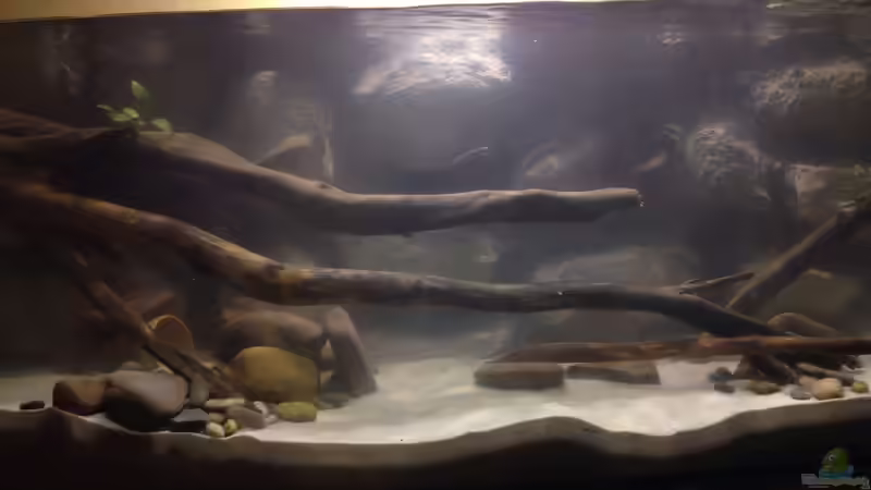 Aquarium Hauptansicht von Mein erstes Aquarium Hauptansicht von Mein erstes