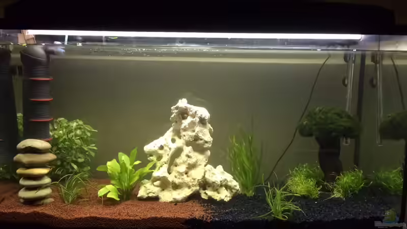 Aquarium Hauptansicht von moderne Unterwasserwelt Aquarium Hauptansicht von moderne Unterwasserwelt