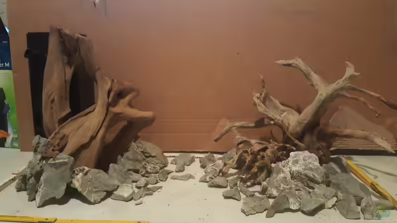 Aquarium Hauptansicht von Neuanfang Aquarium Hauptansicht von Neuanfang