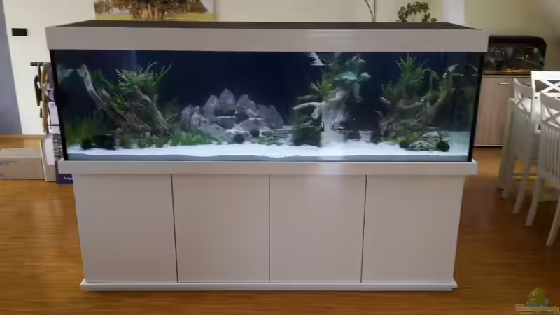 Aquarium Hauptansicht von Neues Becken Aquarium Hauptansicht von Neues Becken
