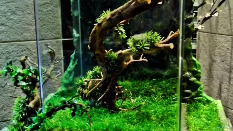 Aquarium Hauptansicht von NEW WAY Aquarium Hauptansicht von NEW WAY