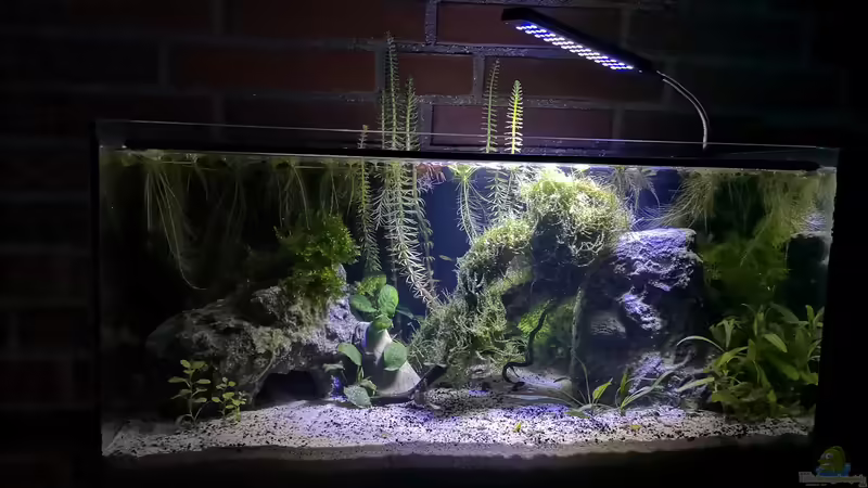 Aquarium Hauptansicht von Outdoorbecken Aquarium Hauptansicht von Outdoorbecken