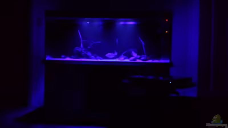 Aquarium Hauptansicht von Ragnarok Aquarium Hauptansicht von Ragnarok