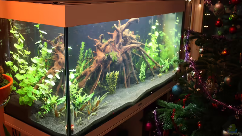 Aquarium Hauptansicht von Rio 300 - Ein Traum wird wahr Aquarium Hauptansicht von Rio 300 - Ein Traum wird wahr