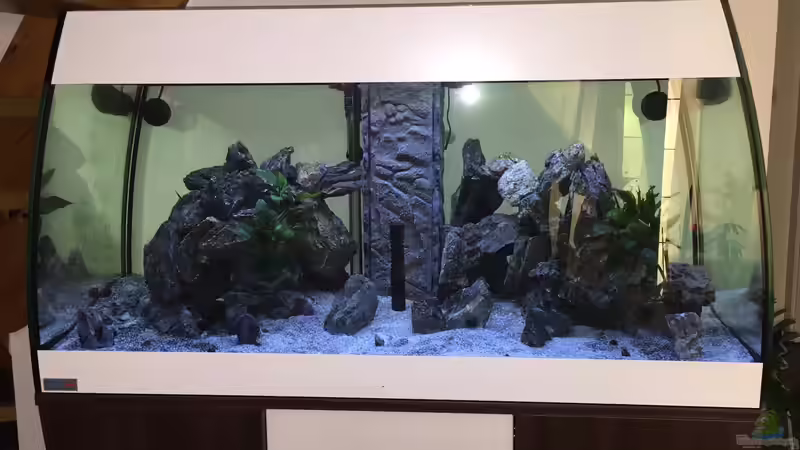 Aquarium Hauptansicht von Scubabay Malawi Aquarium Hauptansicht von Scubabay Malawi