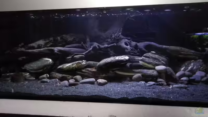 Aquarium Hauptansicht von Südamerika L46 Aquarium Hauptansicht von Südamerika L46