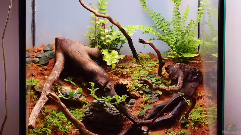 Aquarium Hauptansicht von Südhang am Weinberg Aquarium Hauptansicht von Südhang am Weinberg