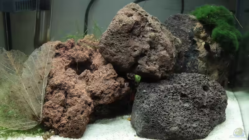 Aquarium Hauptansicht von Sulawesi Moon scape Aquarium Hauptansicht von Sulawesi Moon scape