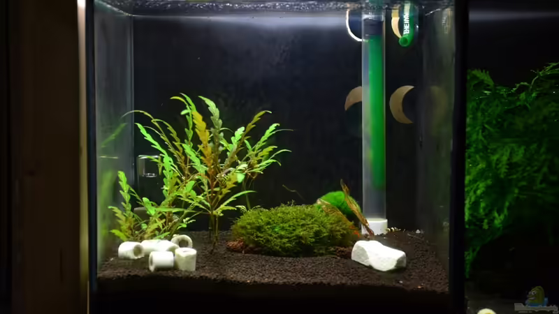 Aquarium Hauptansicht von Taiwaner Aquarium Hauptansicht von Taiwaner