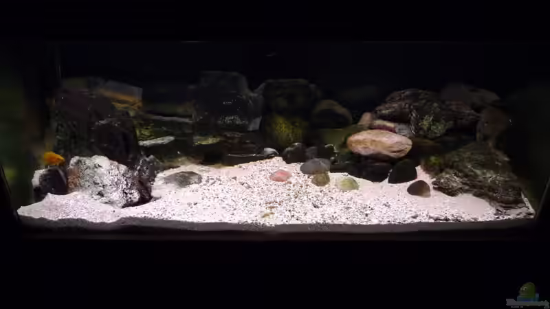 Aquarium Hauptansicht von Tanga-Arena (aufgelöst) Aquarium Hauptansicht von Tanga-Arena (aufgelöst)