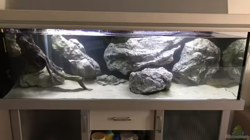 Aquarium Hauptansicht von Tanganjika 3.0 Aquarium Hauptansicht von Tanganjika 3.0