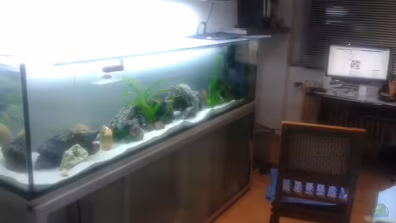 Aquarium Hauptansicht von Tanganjika-Cliffside Aquarium Hauptansicht von Tanganjika-Cliffside