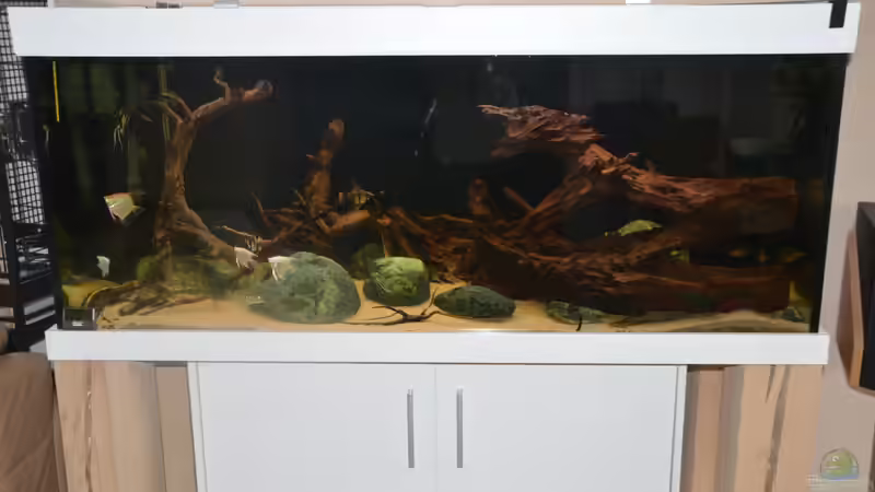 Aquarium Hauptansicht von Tomek-Becken Aquarium Hauptansicht von Tomek-Becken