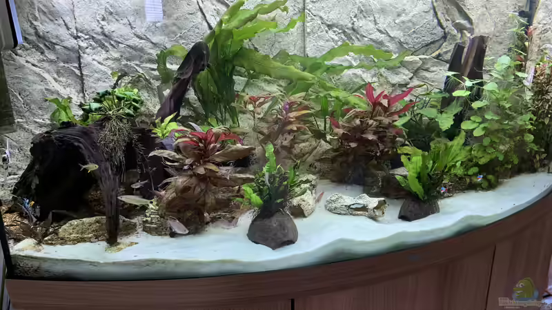 Aquarium Hauptansicht von Vision All Kontinent Aquarium Hauptansicht von Vision All Kontinent