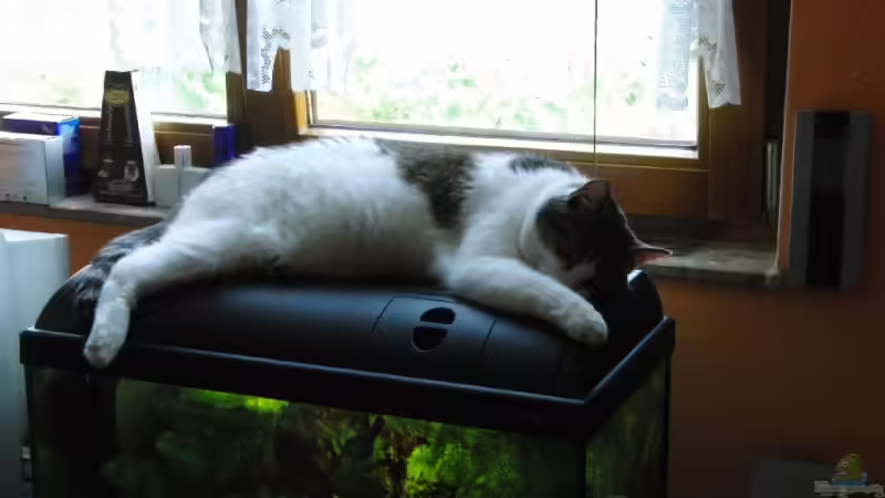 Aquarium Hauptansicht von Waterhome Aquarium Hauptansicht von Waterhome