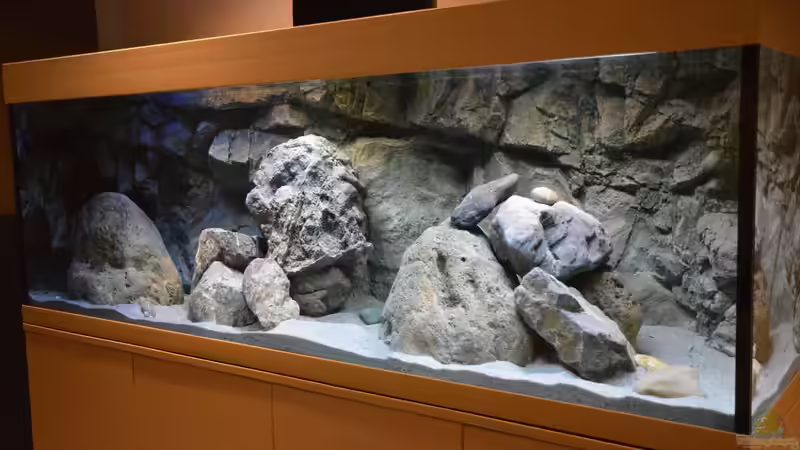 Aquarium Hauptansicht von Zizou's Malawi Cave Aquarium Hauptansicht von Zizou's Malawi Cave