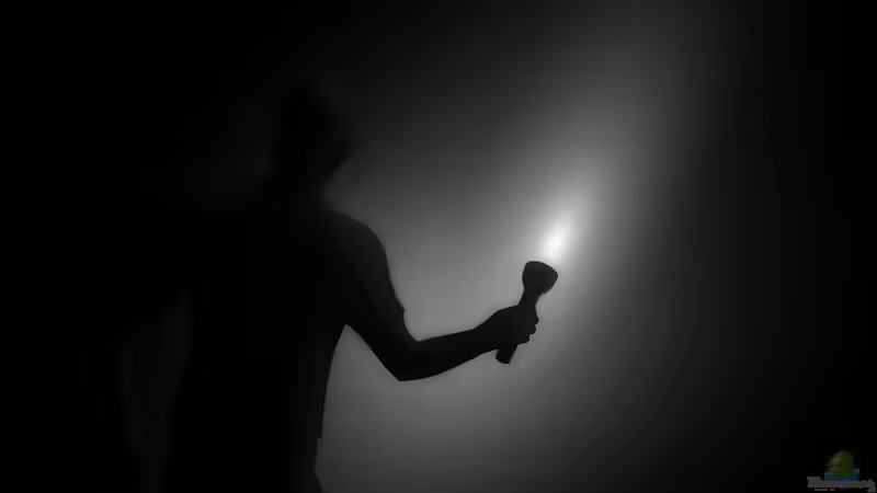 Aquarium im Dunkeln: Überlebenstipps für Fische bei Stromausfall