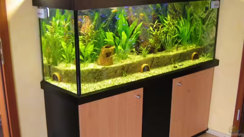 Aquarium mit 2 Meter verzweigtem Höhlensystem Aquarium mit 2 Meter verzweigtem Höhlensystem