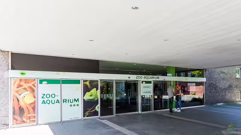 Aquarium und Terrarium im Kölner Zoo - Einen Besuch wert? Der große Guide 2025