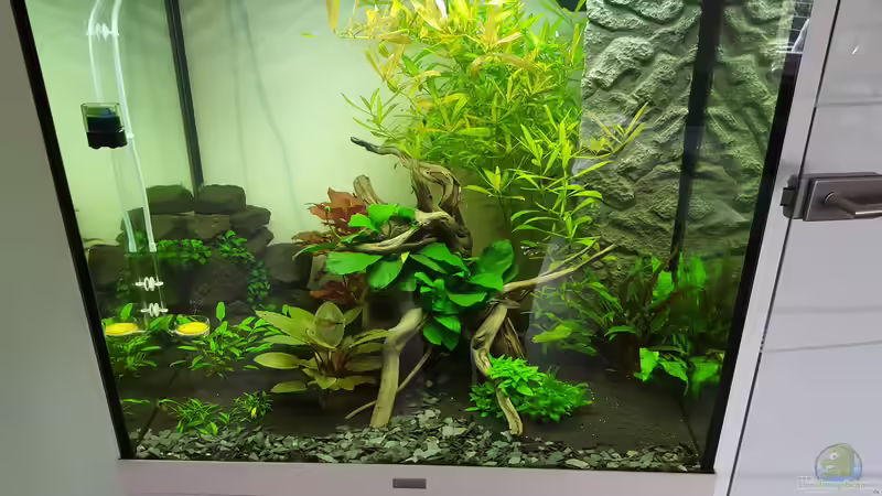 Aquarium Unterwasserwelt von Oliver Peters Aquarium Unterwasserwelt von Oliver Peters