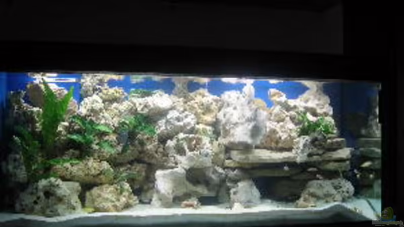 Aquarium von vorne Aquarium von vorne