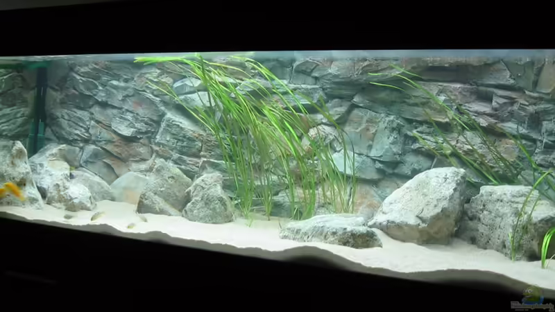 Aquarium Aquarium