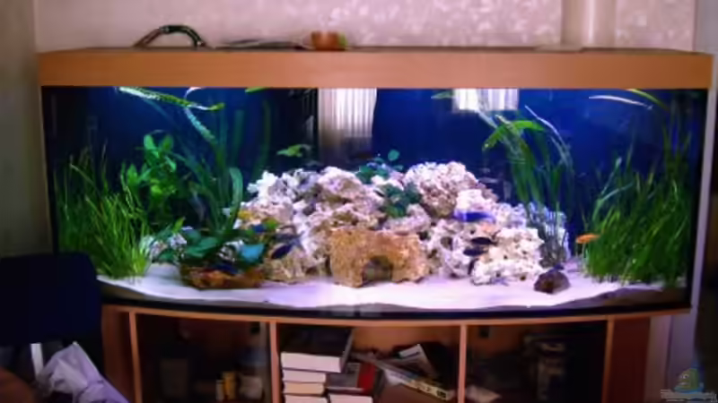 Aquqrium front Aquqrium front