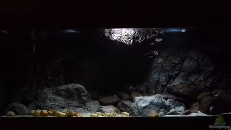 August 2015 August 2015