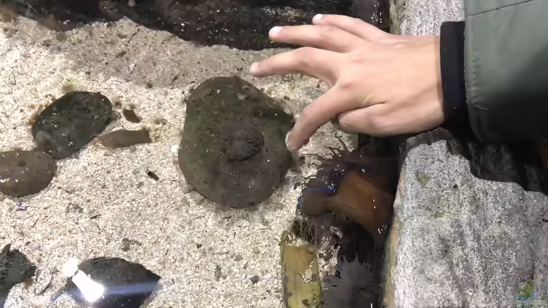 Ausflug zum Sea Life nach München Teil 2/2