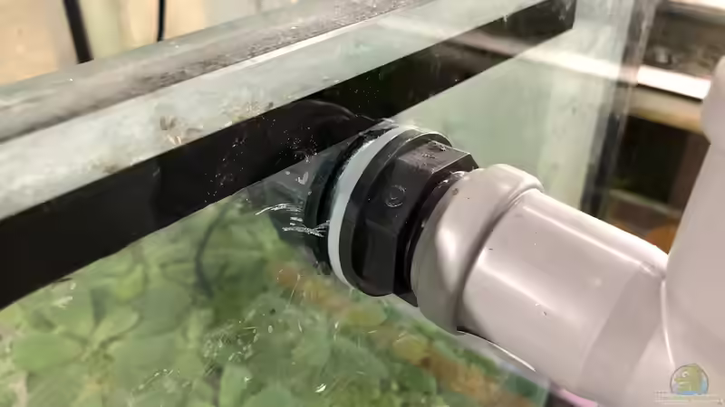 Bau eines Aquarien-Kellers, Teil ACHT, Sommer 2019