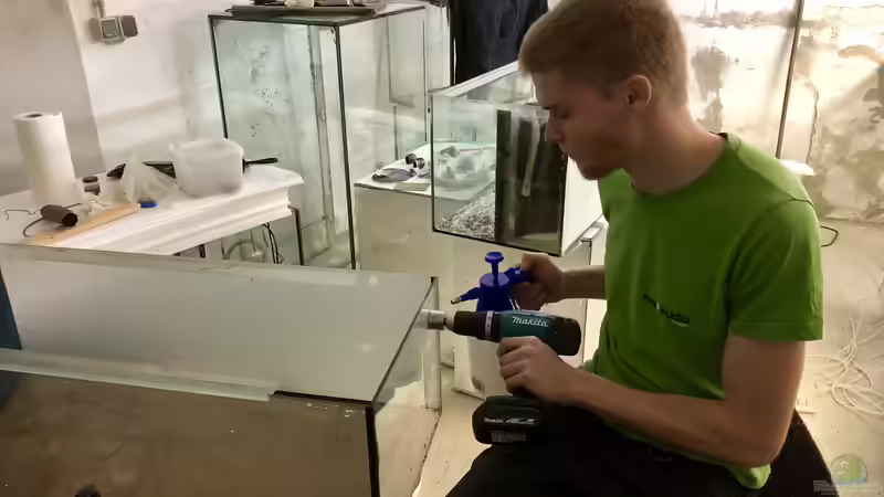 Bau eines Aquarien-Kellers, Teil F??NF, Winter 2018