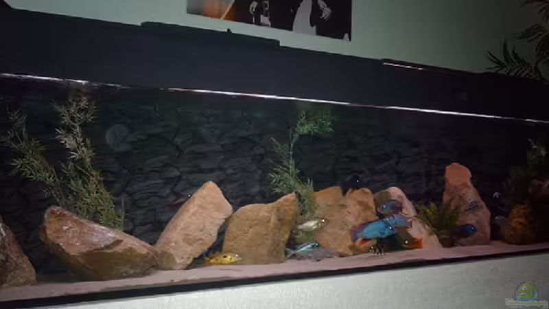 Becken 1960 Liter Becken 1960 Liter