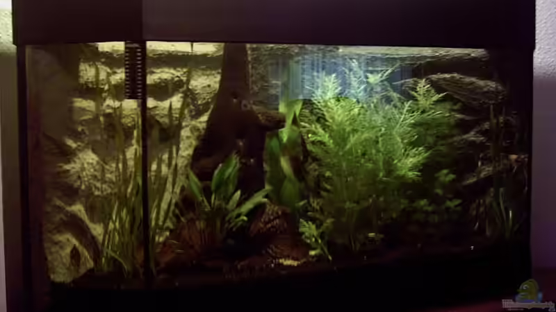 Becken 200 Liter Becken 200 Liter