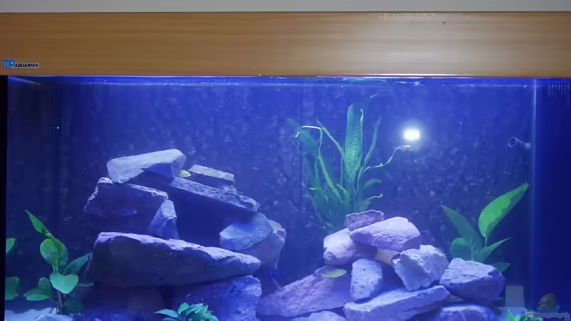 Becken 200Ltr Becken 200Ltr