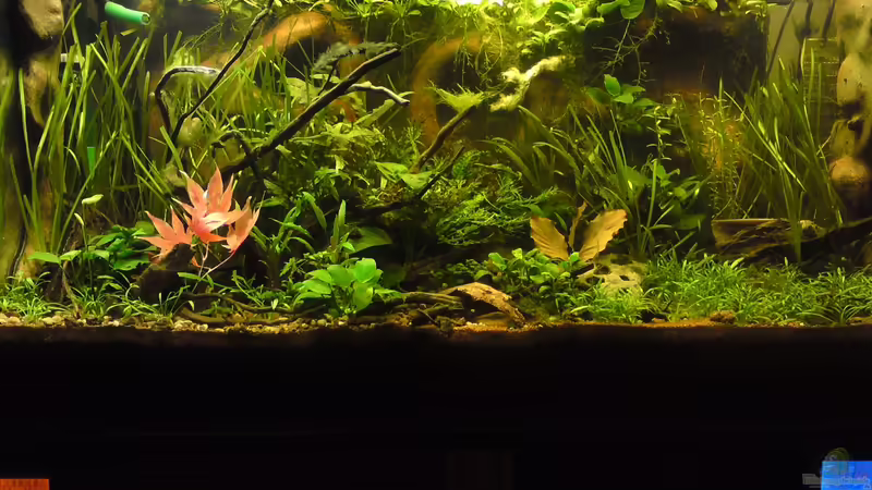 Becken 24.03.2012 Becken 24.03.2012