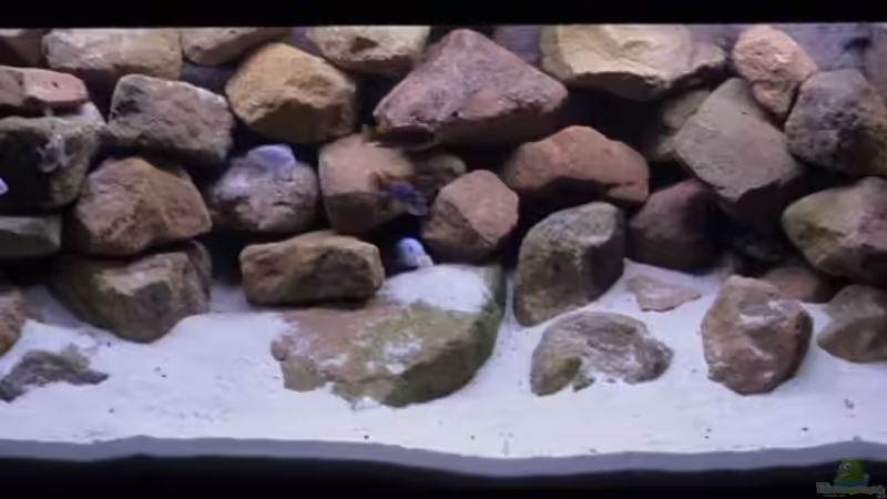 Becken ab 14.10.09 Becken ab 14.10.09