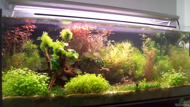 Becken Aktuell 26.08.2013 Becken Aktuell 26.08.2013