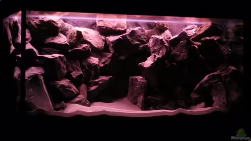 Becken am 03.11.09 Becken am 03.11.09