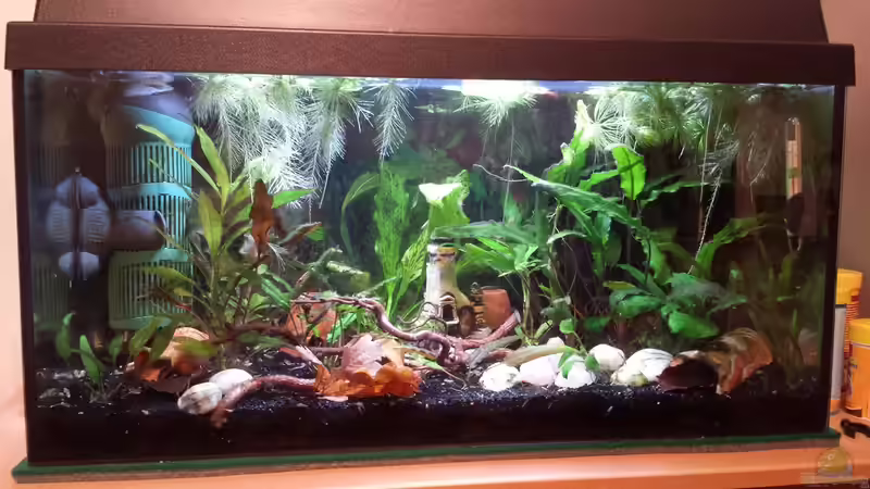 Becken am 04.01.2017 Becken am 04.01.2017