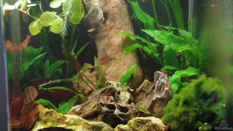 Becken am 04.07.2014 Becken am 04.07.2014