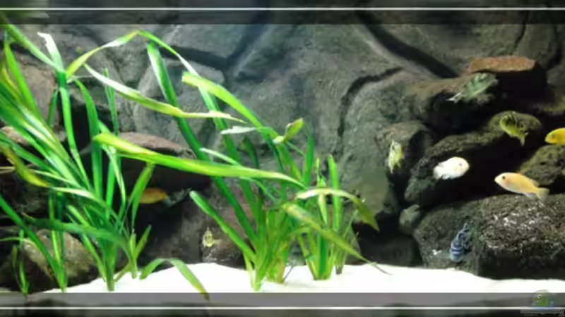 Becken am 12.09.09 Becken am 12.09.09